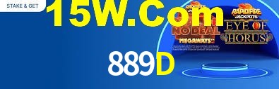 889D App Interface